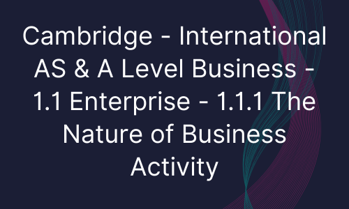 Cambridge - International AS & A Level Business - 1.1 Enterprise - 1.1.1 The Nature of Business Activity