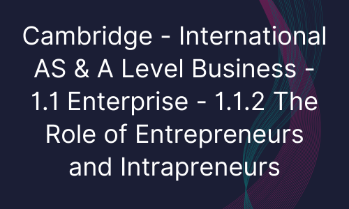 Cambridge - International AS & A Level Business - 1.1 Enterprise - 1.1.2 The Role of Entrepreneurs and Intrapreneurs