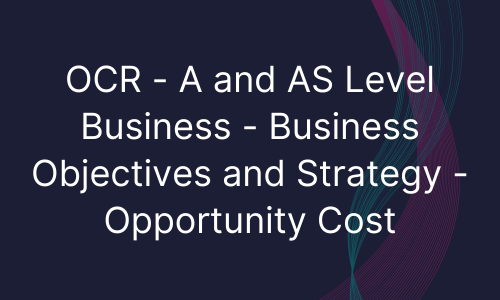 OCR - A and AS Level Business - Business Objectives and Strategy - Opportunity Cost