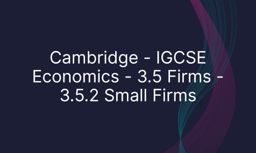 Cambridge - IGCSE Economics - 3.5 Firms - 3.5.2 Small Firms