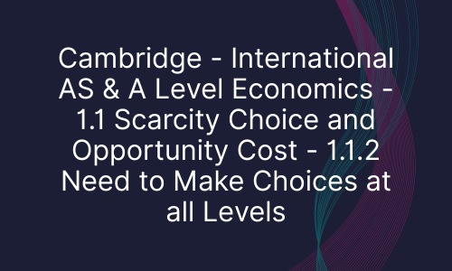 Cambridge - International AS & A Level Economics - 1.1 Scarcity Choice and Opportunity Cost - 1.1.2 Need to Make Choices at all Levels